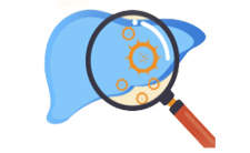 <strong>瑞司美替罗(Rezdiffra)60mg</strong>