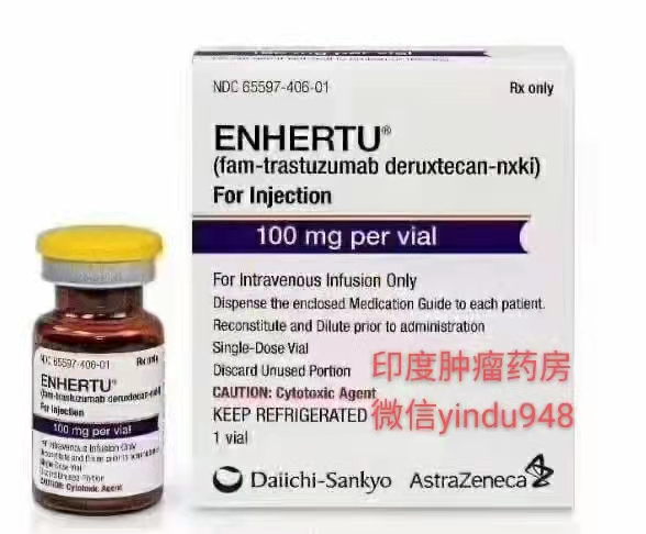 <b>Enhertu（DS-8201）Fam-trastuzumab/deruxtecan-nxki</b>