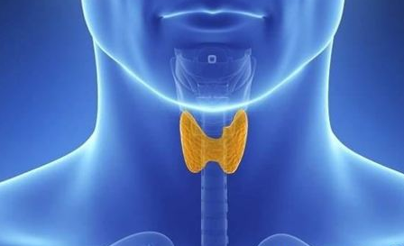 你知道甲状腺癌的症状有哪些?