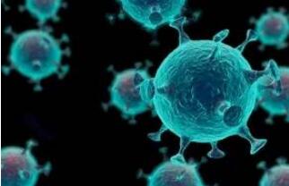 疫情不结束，埃及大型集会将暂停