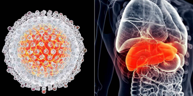 2020年印度TAF替诺福韦的最新价格