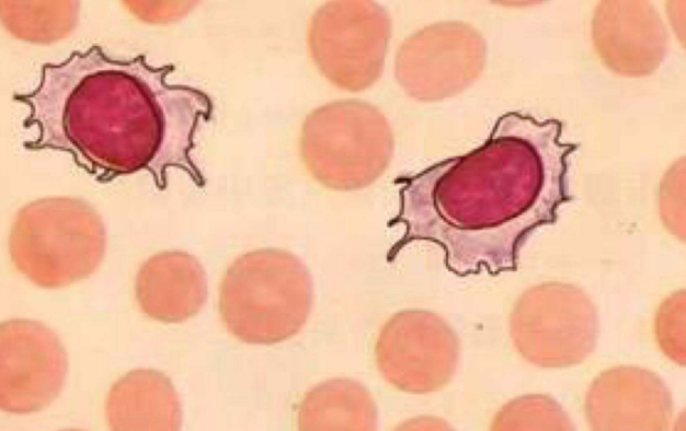 威托克 威托克应该怎样正确服用?