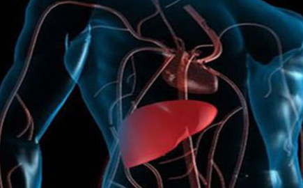 索拉非尼 索拉非尼会出现什么副作用?