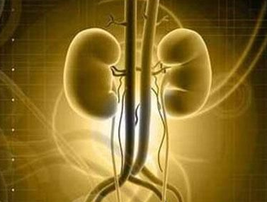 舒尼替尼的一些不良反应可能表明有好的治疗效果。