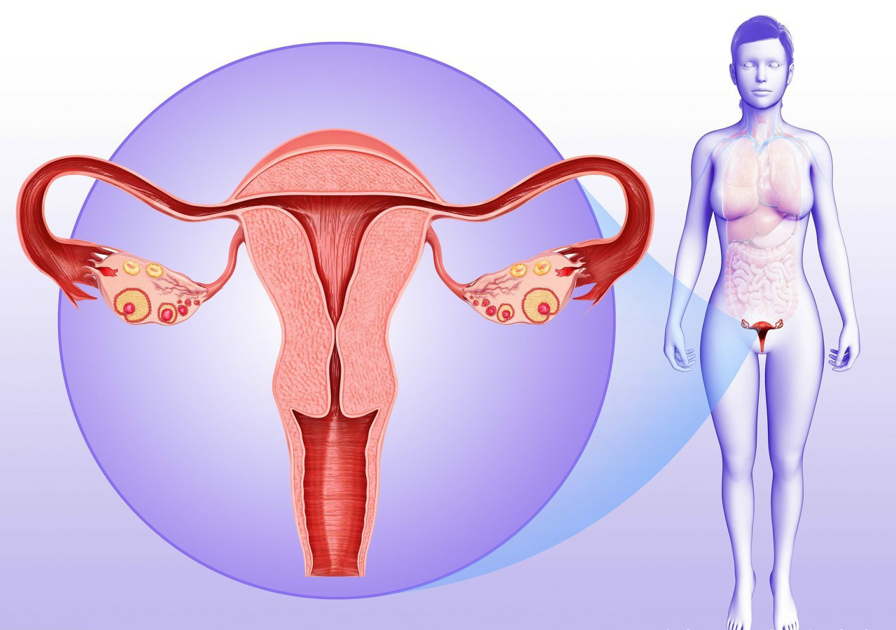 什么情况下容易得卵巢癌？如何发现和确诊卵巢肿瘤？