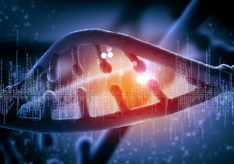 不止是化疗,一文了解淋巴瘤的六类免疫治疗制剂