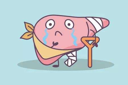 新技术改善急性压力后的血管功能,缓解脂肪肝