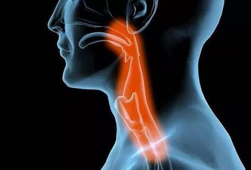 晚期食管癌免疫治疗重要研究汇总(一)