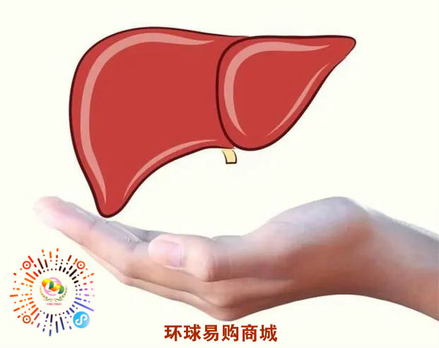 熬夜对身体伤害最为严重的地方就是肝脏。肝脏受到损伤后,身体就容易早衰。