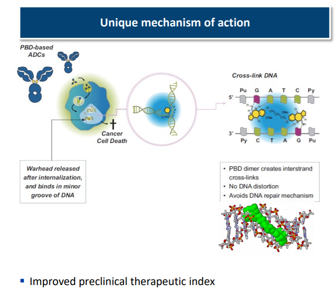 霍奇金淋巴瘤患者总缓解率可达86%创新ADC初步临床试验结果积极,
