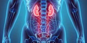 <strong><font color='#0033CC'>【肾癌】肾癌和子宫内膜癌新药,卫</font></strong>