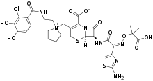 FDA批准用于治疗复杂尿路感染的新抗菌药Fetroja(cefiderocol)