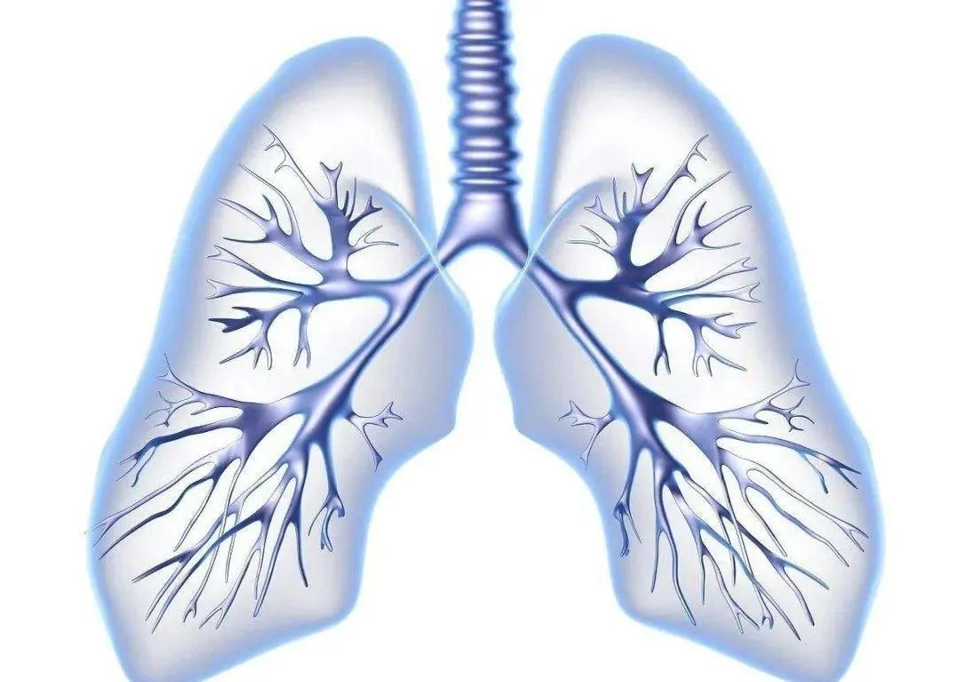肺癌 国内首个RET抑制剂普拉替尼(普吉华)控制率高达96.9%,价格却不美丽!