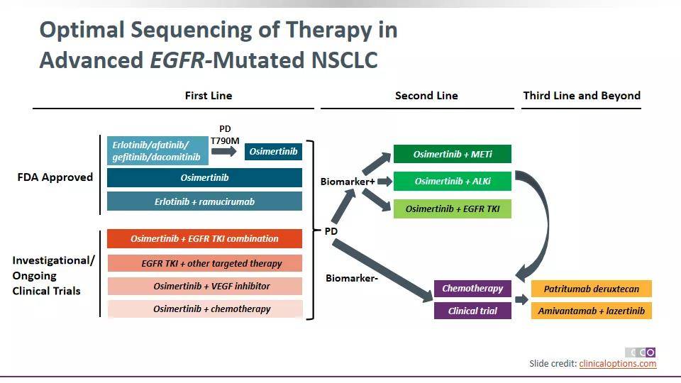 1638926701100870.jpg 一站式解析奥希耐药谜团 | TKI三代耐药后三大解决方案,速来围观!