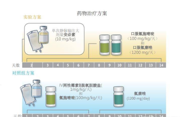 单剂量安必素联合治疗隐球菌性脑膜炎不劣于世界卫生组织推荐疗法