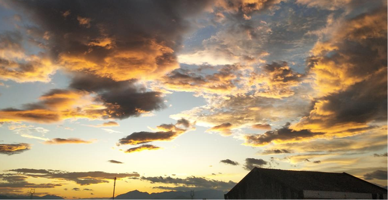 1625467991752614.png 一场有关生命的选择:小细胞肺癌晚期的他,博得4年生存期!