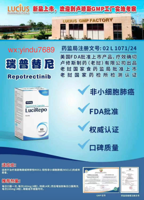 瑞派替尼：胃肠道间质瘤四线治疗的突破性药物